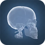 anatomy 4d android application logo